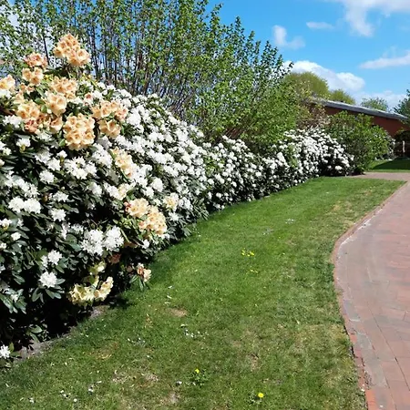 Apartmán Kleemann Barssel (Cloppenburg)