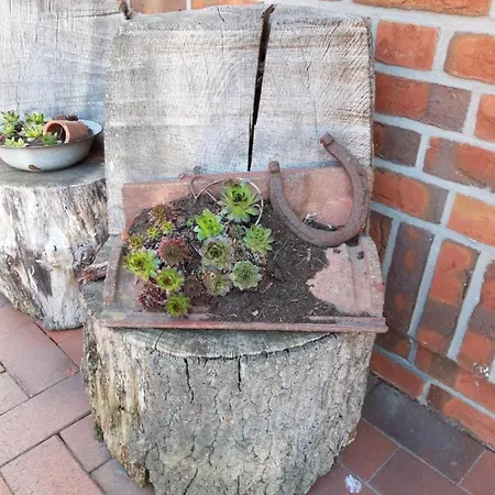 Kleemann Apartmán *