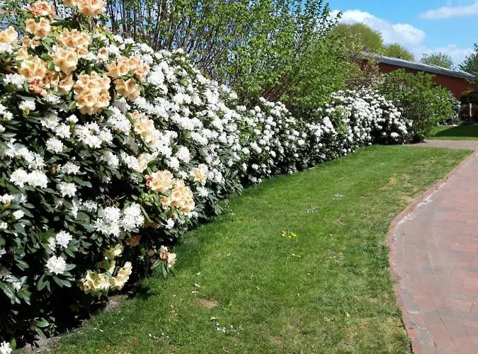 Lägenhet Kleemann Barssel (Cloppenburg)