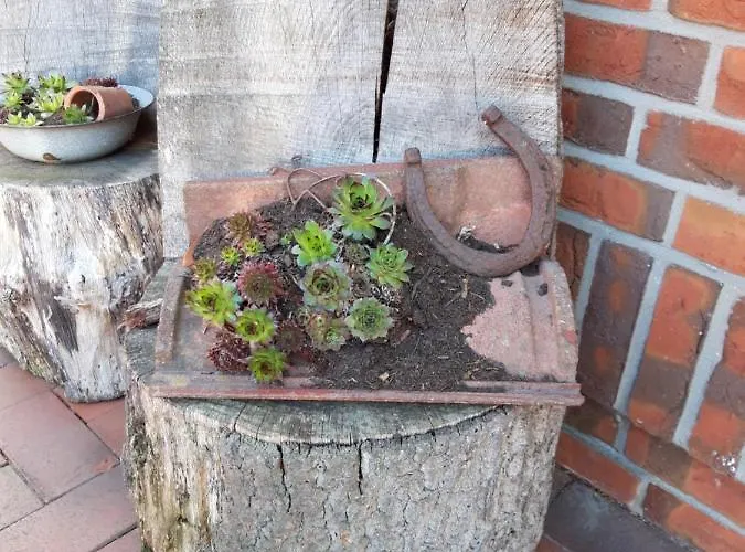 Kleemann Lägenhet *